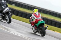 PJ-Motorsport-2019;anglesey-no-limits-trackday;anglesey-photographs;anglesey-trackday-photographs;enduro-digital-images;event-digital-images;eventdigitalimages;no-limits-trackdays;peter-wileman-photography;racing-digital-images;trac-mon;trackday-digital-images;trackday-photos;ty-croes